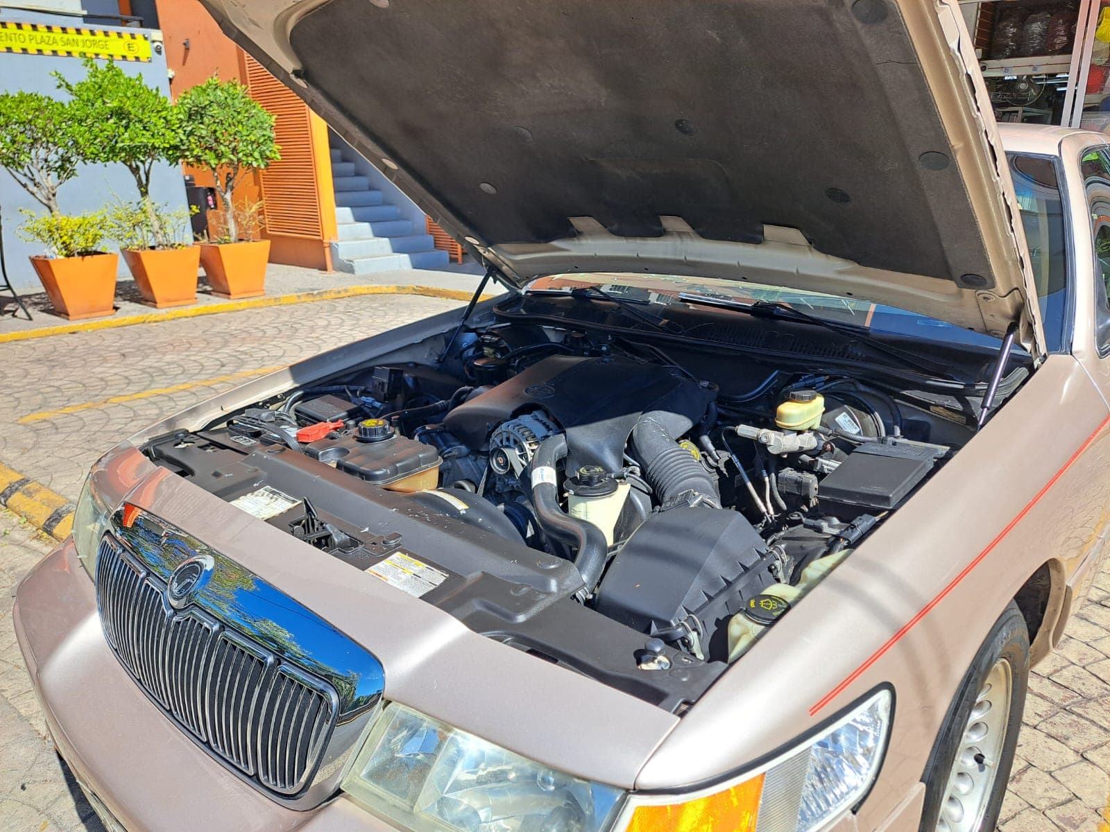 GRAND MARQUIS LS 1998 — foto 12